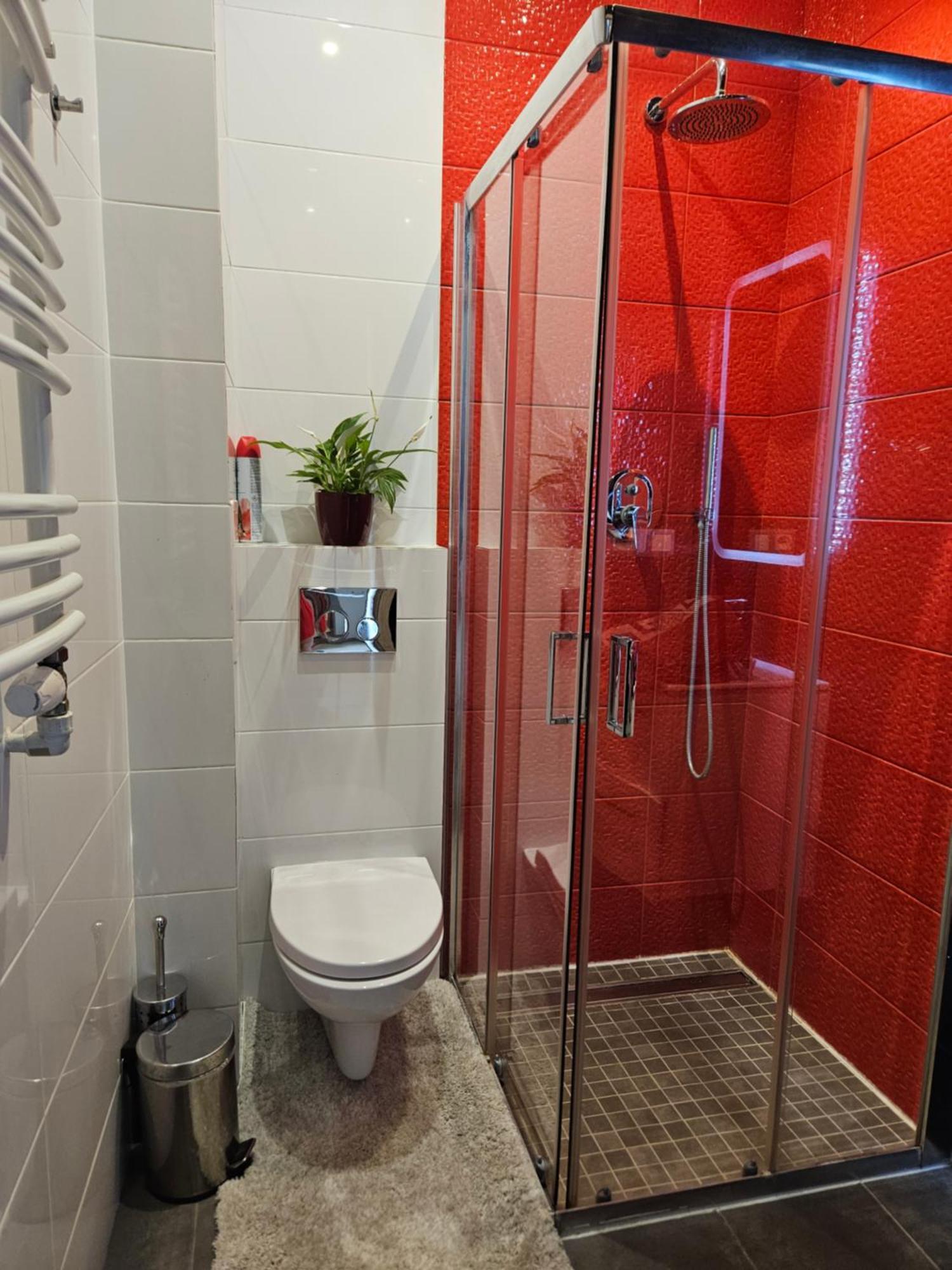 Close To Royal Lazienki Park, недалеко от олинек Apartment *